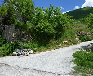 muro