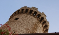 20170217 sstefano s